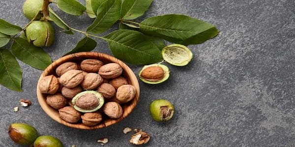 تصویر 5 از خرید گردو پوست کاغذی تویسرکان + قیمت فروش استثنایی